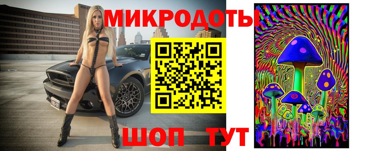 Псилоцибиновые грибы Psilocybe Апрелевка